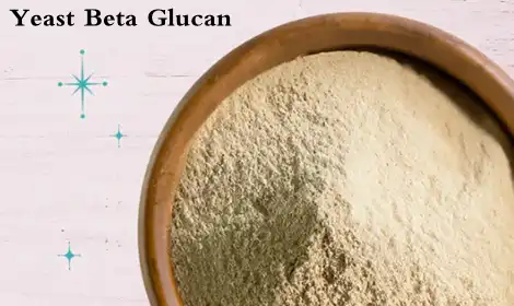 What is Yeast Beta Glucan Powder Good For?